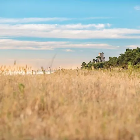 Διαμέρισμα Palazzo Del Mare Int5 Silvi Silvi Marina